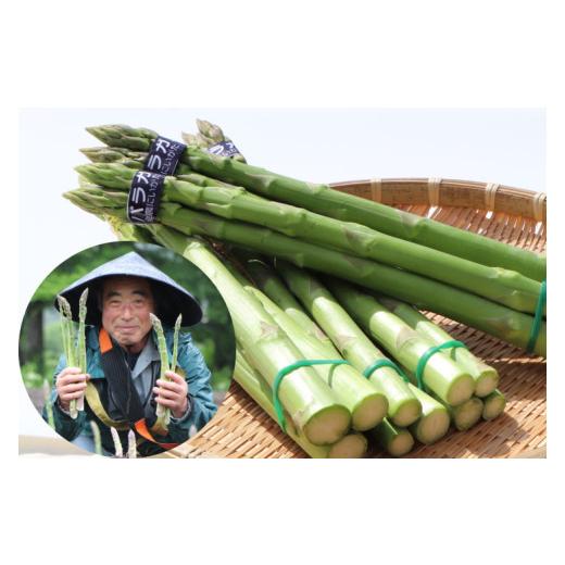ふるさと納税 野菜類 アスパラガス 新潟県 湯沢町 水の美味しい米どころのアスパラガス 有機肥料 湯沢町 南魚沼 雪解け水 アスパラ 800g 野菜 地場産品