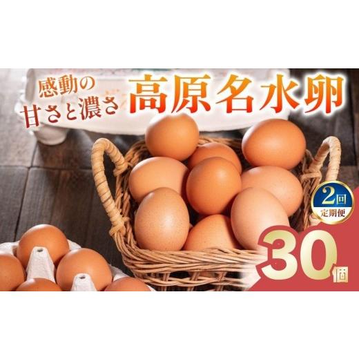 ふるさと納税 卵(鶏、烏骨鶏等) 栃木県 矢板市 定期便2回 高原名水 卵 30個|豊かな自然で育ったアスタキサンチン含有の高原名水卵 感動の甘さと濃さ 栃木…