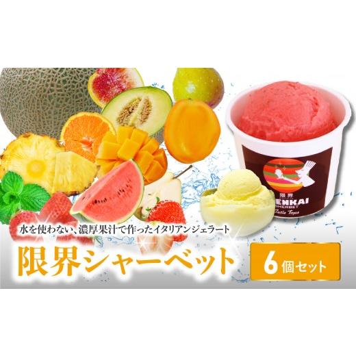 ふるさと納税 アイス・ヨーグルト シャーベット 大分県 大分市 父の日ギフト 限界シャーベット 6個セット 6月21日お届け 季節の果物の限界シャーベット 和三…