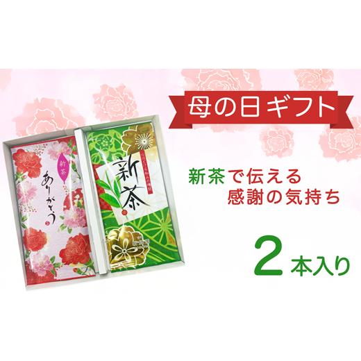 ふるさと納税 お茶類 緑茶(茶葉・ティーバッグ) 宮崎県 新富町 母の日ギフト 走り新茶80g×2本 国産 贈り物 お茶