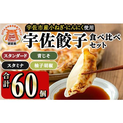 ふるさと納税 惣菜・レトルト 冷凍 大分県 宇佐市 味深屋の宇佐餃子よりどりセット(合計5袋・5種) 餃子 ぎょうざ 簡単 惣菜 おかず おつまみ 簡単調理 焼くだ…