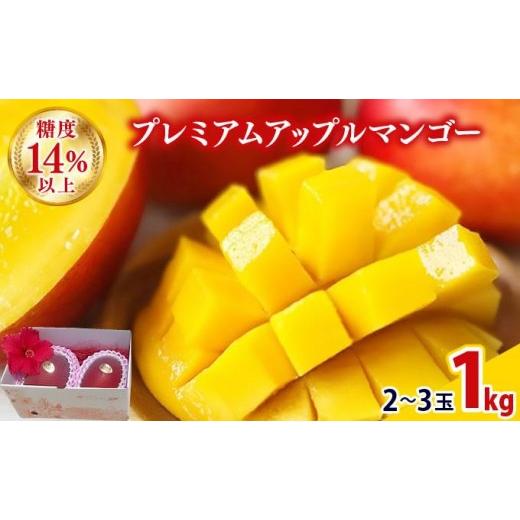 ふるさと納税 マンゴー 沖縄県 豊見城市 2026年夏発送 先行予約 プレミアム アップルマンゴー 1kg箱(2〜3玉)