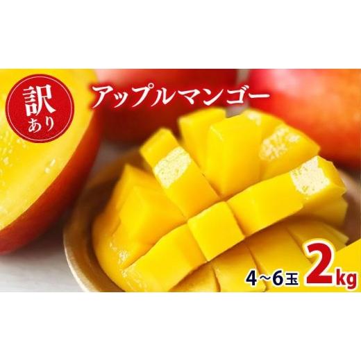 ふるさと納税 マンゴー 沖縄県 豊見城市 2026年夏発送 先行予約 訳あり アップルマンゴー 2kg箱(4〜6玉)