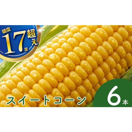 ふるさと納税 とうもろこし 大阪府 松原市 とうもろこし トウモロコシ 6本 スイートコーン コーン 産地直送 野菜 夏野菜 コーンスープ かき揚げ コーンバター …