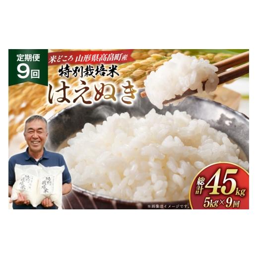 ふるさと納税 米 はえぬき 山形県 高畠町 米 定期便 9回 令和8年産 特別栽培米 はえぬき 5kg 9回 計45kg 渡部ファーム 山形県 高畠町 tk06ays810051 お米 白米…