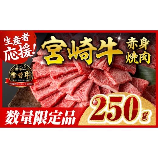 ふるさと納税 牛肉 すき焼き 宮崎県 川南町 令和8年10月発送 宮崎牛 赤身(ウデorモモ)焼肉250g 牛肉 スライス 牛 肉 A4ランク 4等級 A5ランク 5等級 焼肉 …