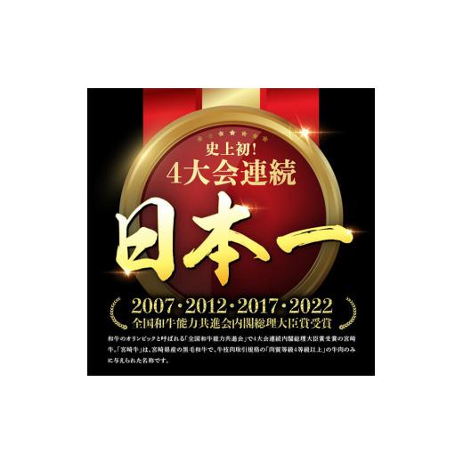ふるさと納税 牛肉 セット 宮崎県 川南町 令和8年10月発送 宮崎牛 ＆ 宮崎県産 豚肉 焼肉 10種 肉 牛 牛肉 豚肉 豚 ぶた肉 国産 黒毛和牛 宮崎牛 BBQ 焼肉 ロ…