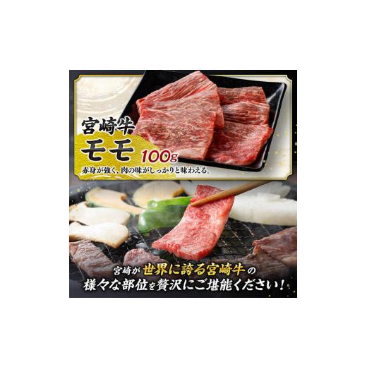 ふるさと納税 牛肉 セット 宮崎県 川南町 令和8年10月発送 宮崎牛 ＆ 宮崎県産 豚肉 焼肉 10種 肉 牛 牛肉 豚肉 豚 ぶた肉 国産 黒毛和牛 宮崎牛 BBQ 焼肉 ロ…