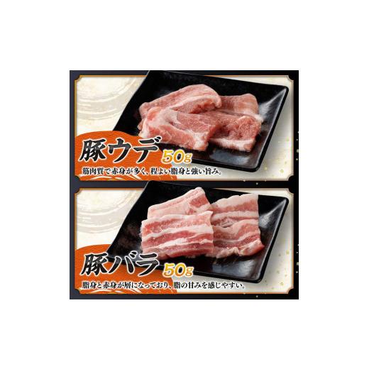 ふるさと納税 牛肉 セット 宮崎県 川南町 令和8年10月発送 宮崎牛 ＆ 宮崎県産 豚肉 焼肉 10種 肉 牛 牛肉 豚肉 豚 ぶた肉 国産 黒毛和牛 宮崎牛 BBQ 焼肉 ロ…