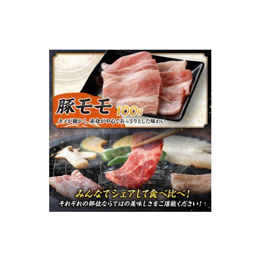 ふるさと納税 牛肉 セット 宮崎県 川南町 令和8年10月発送 宮崎牛 ＆ 宮崎県産 豚肉 焼肉 10種 肉 牛 牛肉 豚肉 豚 ぶた肉 国産 黒毛和牛 宮崎牛 BBQ 焼肉 ロ…