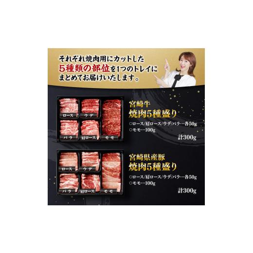 ふるさと納税 牛肉 セット 宮崎県 川南町 令和8年10月発送 宮崎牛 ＆ 宮崎県産 豚肉 焼肉 10種 肉 牛 牛肉 豚肉 豚 ぶた肉 国産 黒毛和牛 宮崎牛 BBQ 焼肉 ロ…