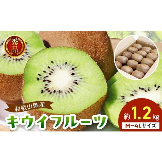 ふるさと納税 果物類 和歌山県 湯浅町 BL6175_ 和歌山産 キウイフルーツ 秀品 内容量 約 1.2kg 1箱 サイズおまかせ フルーツ 果物 キウイ 葉酸 ビタミンC 栄養…