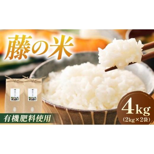 ふるさと納税 米 福岡県 那珂川市 令和7年度産 藤の米(ふじのまい) 4kg(2kgx2) フジノ農園 4kg