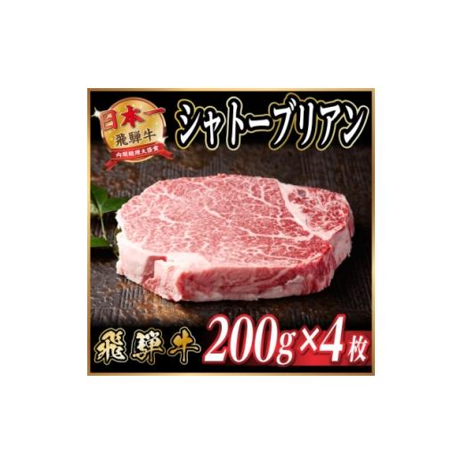 ふるさと納税 牛肉 ステーキ 岐阜県 羽島市 飛騨牛 シャトーブリアン 約800g(約200g×4枚) 黒毛和牛 ステーキ牛肉 1733124