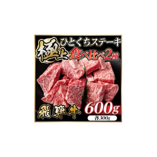 ふるさと納税 牛肉 ステーキ 岐阜県 羽島市 飛騨牛 ひとくちステーキ 食べ比べ 2種 約600g(各約300g) 黒毛和牛 BBQ用 1733159