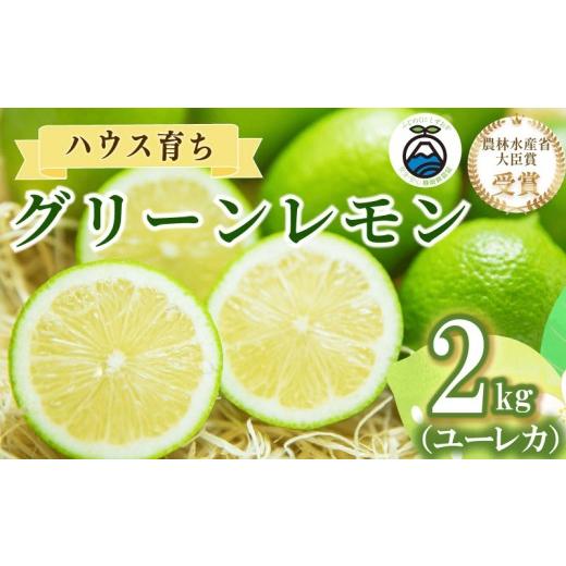 ふるさと納税 みかん・柑橘類 レモン 静岡県 牧之原市 農林水産大臣賞 先行予約 国産 レモン 選べる 内容量 グリーンレモン 2kg れもん 檸檬 Lemon 柑橘類 柑…