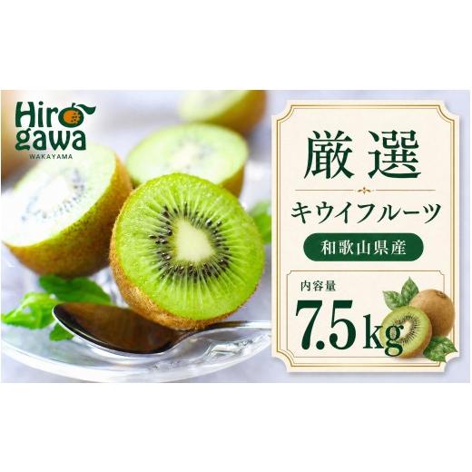 ふるさと納税 果物類 和歌山県 広川町 キウイ 厳選 7.5kg+250g(痛み補償分) / キウイフルーツ 高級 和歌山 2026年11月中旬〜2027年4月下旬に順次発送 北海…