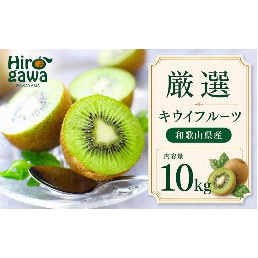 ふるさと納税 果物類 和歌山県 広川町 キウイ 厳選 10kg+250g(痛み補償分) / キウイフルーツ 高級 和歌山 2026年11月中旬〜2027年4月下旬に順次発送 北海道…