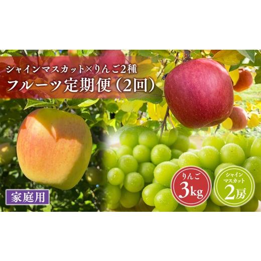 ふるさと納税 果物の詰合せ 青森県 平川市 青森フルーツ満喫便 家庭用 りんご&シャインマスカット 2回定期コース hi-