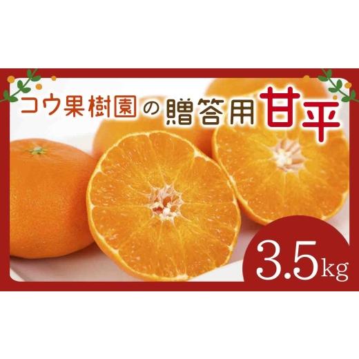 ふるさと納税 みかん・柑橘類 愛媛県 八幡浜市 先行受付 コウ果樹園の贈答用 甘平 3.5kg(バラ詰め) D33-35 _ みかん ミカン 愛媛県 フルーツ 果物 くだもの …