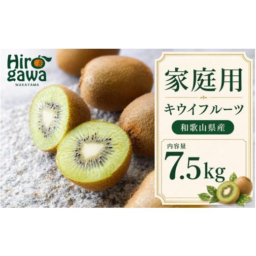 ふるさと納税 果物類 和歌山県 広川町 キウイ 家庭用 7.5kg+250g(痛み補償分) / キウイフルーツ 訳あり 和歌山 2026年11月中旬〜2027年4月下旬に順次発送 …