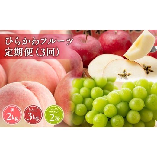 ふるさと納税 果物の詰合せ 青森県 平川市 ひらかわフルーツ満喫便 3回定期コース hi-