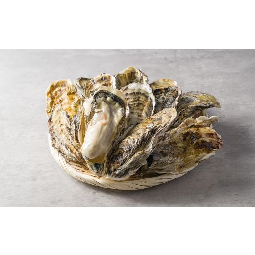 ふるさと納税 牡蠣 生牡蠣 宮城県 柴田町 松島牡蠣屋 殻付き牡蠣(生食用)1kg 生牡蠣 宮城県産 牡蛎 牡蠣 カキ オイスター カキフライ 牡蠣鍋 海鮮 国産 魚貝…