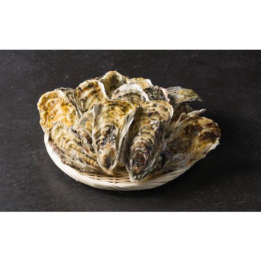 ふるさと納税 牡蠣 生牡蠣 宮城県 柴田町 松島牡蠣屋 冷凍牡蠣(生食用)1kg 宮城県産 牡蛎 牡蠣 カキ オイスター カキフライ 牡蠣鍋 海鮮 国産 魚貝類 急速冷…