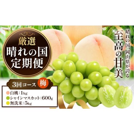 ふるさと納税 ぶどう マスカット 岡山県 笠岡市 フルーツ 厳選 晴れの国定期便 シャインマスカット 600g 白桃 1kg 米 5kg 無洗米 3回 お届け 定期便 [ページ…