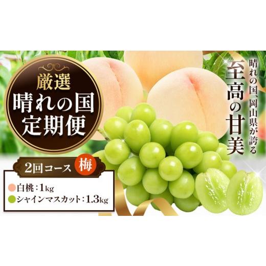 ふるさと納税 ぶどう マスカット 岡山県 笠岡市 フルーツ 厳選 晴れの国定期便 シャインマスカット 1.3kg 白桃 1kg 2回 お届け 定期便 [ページ内記載の時期に…