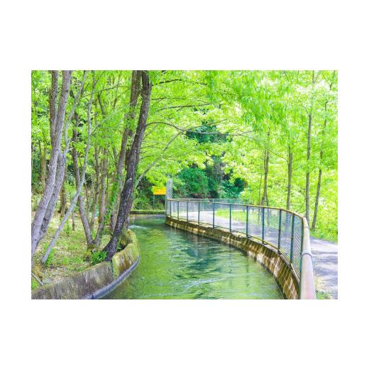 ふるさと納税 美容 三重県 多気町 谷川流足圧〜全身踏みほぐし〜　90分コース　HTR-101