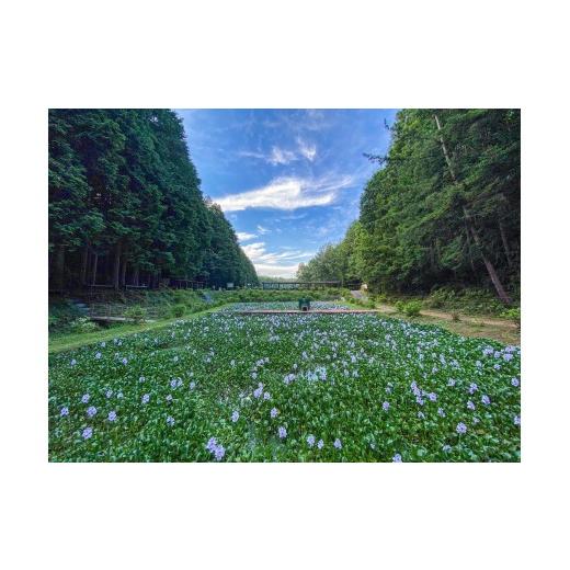ふるさと納税 美容 三重県 多気町 谷川流足圧〜全身踏みほぐし〜　90分コース　HTR-101