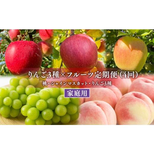 ふるさと納税 果物の詰合せ 青森県 平川市 家庭用フルーツ定期便 4回(桃・シャインマスカット・りんご3種) hi-
