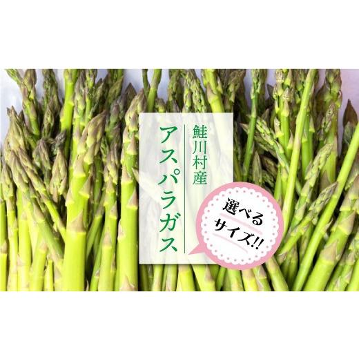 ふるさと納税 野菜類 アスパラガス 山形県 鮭川村 <2Lサイズ:2kg 鮭川村産 アスパラガス 2Lサイズ:2kg