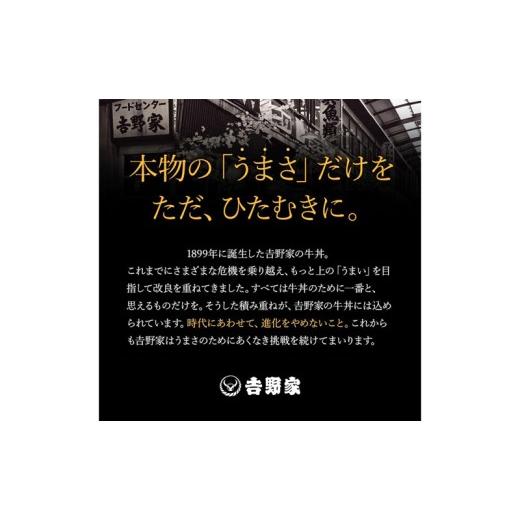 ふるさと納税 肉 新潟県 十日町市 吉野家 牛丼&牛焼肉丼&豚しょうが焼 10袋セット（冷凍） 牛丼 レトルト 非常食 防災食 お楽しみ 新潟