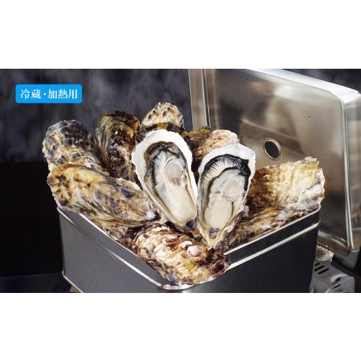 ふるさと納税 牡蠣 生牡蠣 宮城県 大和町 カンカン浜焼き牡蠣セット 宮城県産 生牡蠣 牡蛎 牡蠣 カキ オイスター カンカン焼き 海鮮 国産 魚介 バーベキュー B…