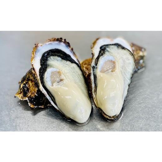 ふるさと納税 牡蠣 生牡蠣 宮城県 大和町 殻付き牡蠣(冷凍) 2kg 宮城県産 生牡蠣 牡蛎 牡蠣 大粒 カキ オイスター カキフライ 牡蠣鍋 海鮮 国産 魚介 産地直…