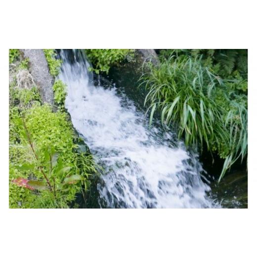 ふるさと納税 米 コシヒカリ 新潟県 南魚沼市 令和8年産新米予約 定期便 南魚沼産コシヒカリ 従来品種 精米2kg×6回 山本家 2026年10月上旬より1ヶ月以内に順…