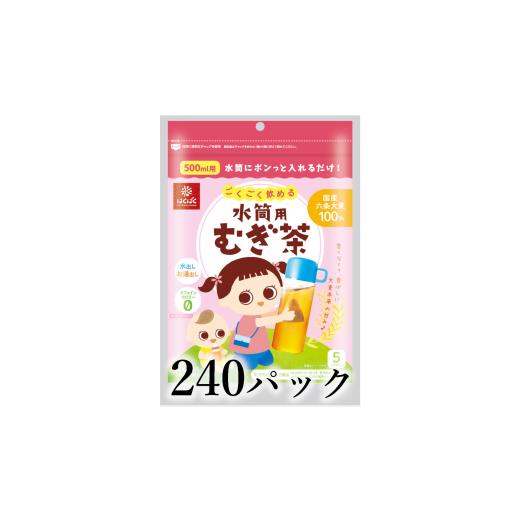 ふるさと納税 お茶類 山梨県 南アルプス市 はくばく ごくごく飲める 水筒用麦茶 240パック AL