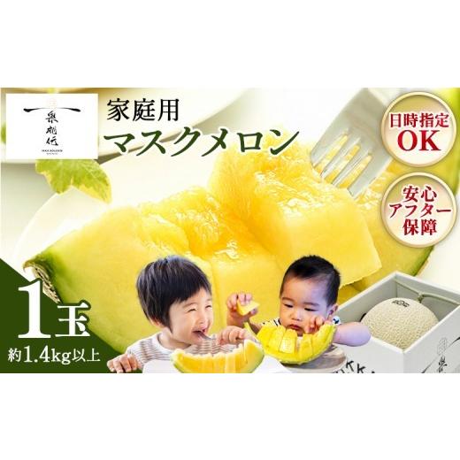 ふるさと納税 メロン メロン青肉 高知県 香南市 5月も発送 マスクメロン 4月発送中 1玉 日時指定可能 メロン 1個 ますくめろん 5月めろん 1玉 果物 くだもの …