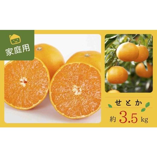 ふるさと納税 みかん・柑橘類 愛媛県 八幡浜市 先行受付 コウ果樹園の家庭用 せとか 約3.5kg C33-31 _訳あり 訳アリ みかん ミカン 愛媛県 フルーツ 果物 く…