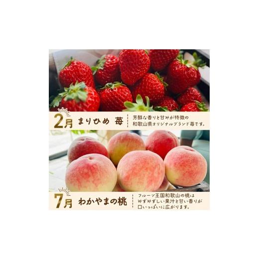 ふるさと納税 果物類 みかん 和歌山県 太地町 わかやま 旬の フルーツ 定期便 S 全4回 ／ 有田みかん まりひめ いちご 桃 柿 北海道・沖縄・離島への配送不可 …_2
