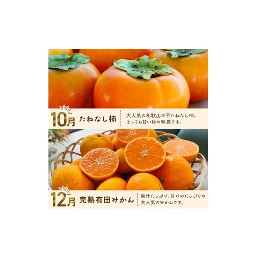 ふるさと納税 果物類 みかん 和歌山県 太地町 わかやま 旬の フルーツ 定期便 S 全4回 ／ 有田みかん まりひめ いちご 桃 柿 北海道・沖縄・離島への配送不可 …_3