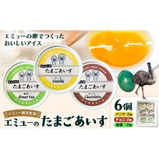 ふるさと納税 卵(鶏、烏骨鶏等) 熊本県 菊池市 エミューのたまごアイス 6個入り エミュー観光牧場 [30日以内に出荷予定(土日祝除く)] 熊本県 菊池市 卵 た…