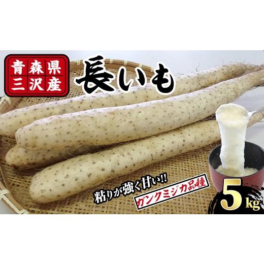 ふるさと納税 人参・大根・他根菜 青森県 三沢市 先行予約受付中 R8年8月下旬以降順次発送予定 青森県三沢市産 長いも (5kg) 野菜 やさい 根菜 とろろ 長芋 …