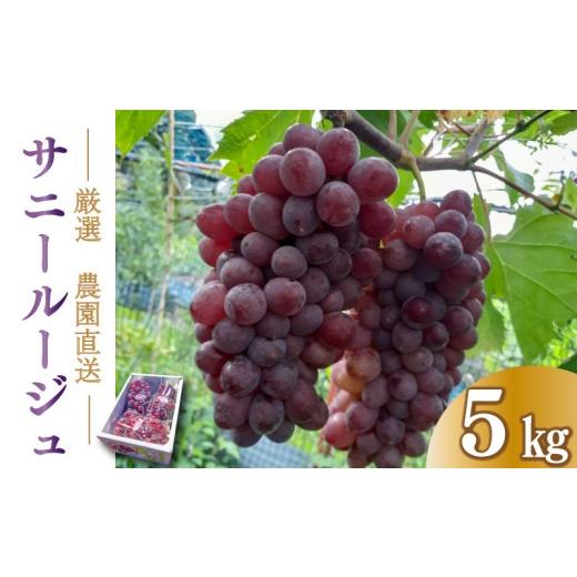 ふるさと納税 果物類 ぶどう 徳島県 阿波市 先行予約 ぶどう サニールージュ 5kg [ 2026年 7月 下旬 〜 順次発送 ]フルーツ ぶどう 葡萄 期間限定 旬 産地…