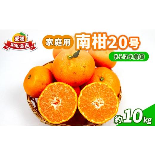 ふるさと納税 果物類 みかん 愛媛県 宇和島市 家庭用 南柑20号 約10kg まるはま農園 甘い 美味しい 先行予約 温州 みかん うんしゅう 温州みかん 愛媛ミカン …