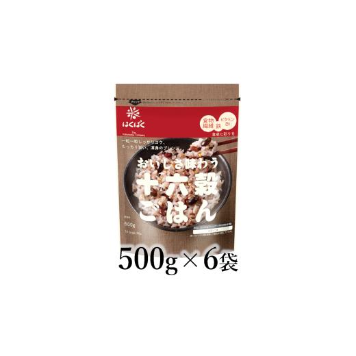 ふるさと納税 雑穀 山梨県 南アルプス市 はくばく 十六穀ごはん 500g×6袋 ALPAN046 | はくばく 十六穀 健康