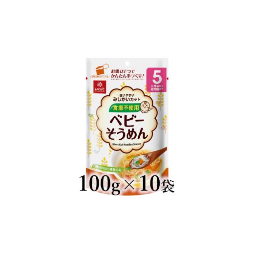 ふるさと納税 麺類 山梨県 南アルプス市 はくばく ベビーそうめん 100g×10袋 ALPAN060 | はくばく ベビーシリーズ 食塩不使用 そうめん 離乳食 ハラールフ…