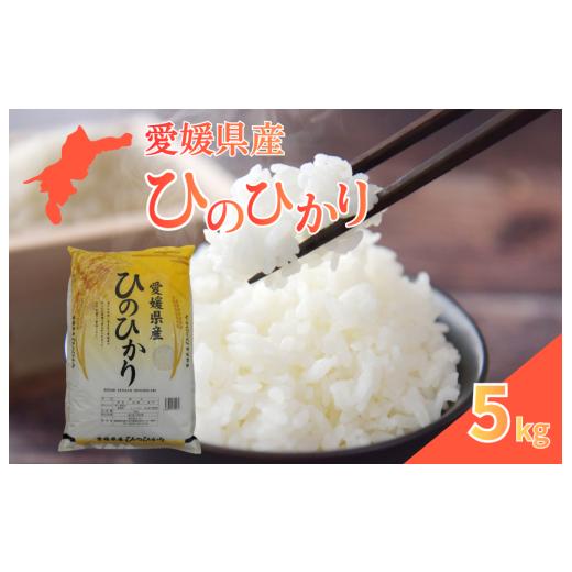 ふるさと納税 米 ヒノヒカリ 愛媛県 四国中央市 愛媛県産ひのひかり5kg 5kg